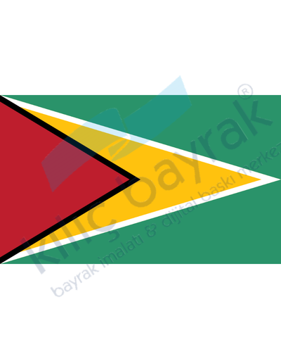 Guyana Ülke Bayrağı