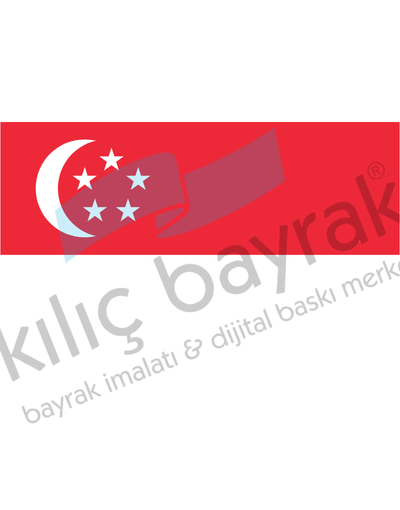 Singapur Ülke Bayrağı